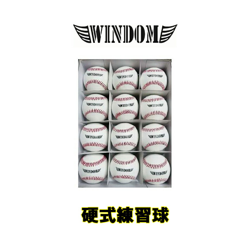 硬式練習球 格安 １０ダース 名入れサービス 硬式ボール WINDOM 硬式野球 高校野球 大学野球 独立リーグ ☆最安値に挑戦