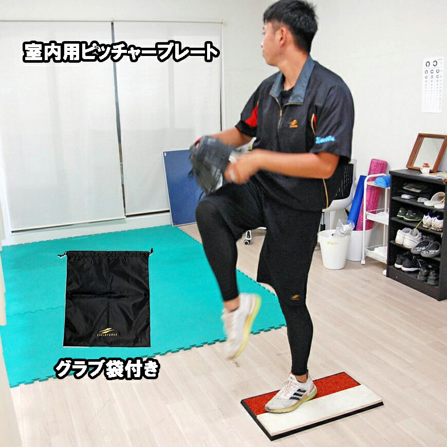 楽天市場】ピッチャープレート 学童用 FPP-1046 簡易式本格