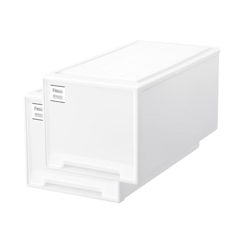 【通販限定2個セット】天馬 収納ボックス フィッツケース 押入れ 幅39&times;奥行74&times;高さ35cm 収納ケース たわみにくい 衣装ケース 日本製｜Ciel de neige