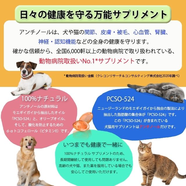 今だけスーパーセール限定 アンチノール 犬用 60粒 健康 関節 腎臓 心血管 認知症 サプリメントモエギイガイ PCSO-524 ナチュラルサプリ  カプセル タブレット fucoa.cl