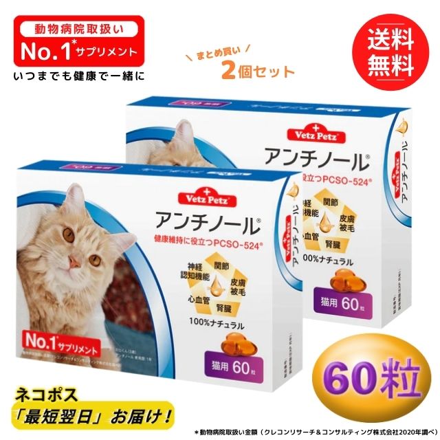 アンチノール 猫用 60粒 健康 関節 腎臓 心血管 認知症 サプリメントモエギイガイ Pcso 524 ナチュラルサプリ カプセル タブレット ネコ キャンペーンもお見逃しなく