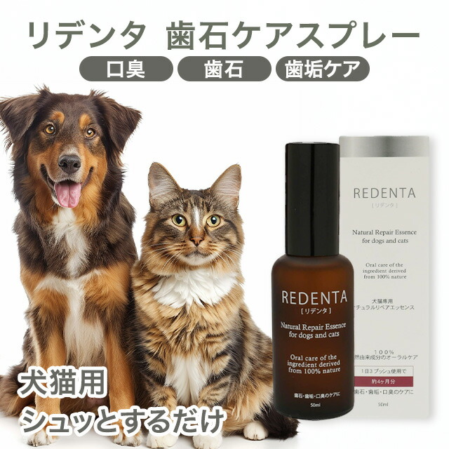 REDENTA 犬猫用歯石ケアスプレー2本セット 41rVLu42T-L.jpg_BO30,255,255,