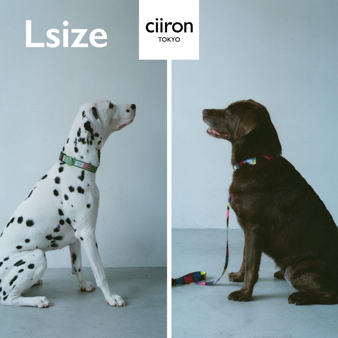 楽天市場 犬 首輪 小型犬 大型犬 日本製 洗える 全国送料無料 Ciiron Tokyo 首輪 M 細サイズ首周り24 40cm 幅2cm犬 日本製 オシャレ カラー ハーネス 小型犬 中型犬 大型犬シンプル ポリエステル素材 軽い リード 手洗い可能 かわいい ブランド 楽天市場 犬 首輪 小型犬 大型犬 日本製 洗える 全国送料無料 Ciiron Tokyo 首輪 M 細サイズ首周り24 40cm 幅2cm犬 日本製 オシャレ カラー ハーネス 小型犬 中型犬 大型犬シンプル ポリエステル素材 軽い リード 手洗い可能 かわいい ブランド