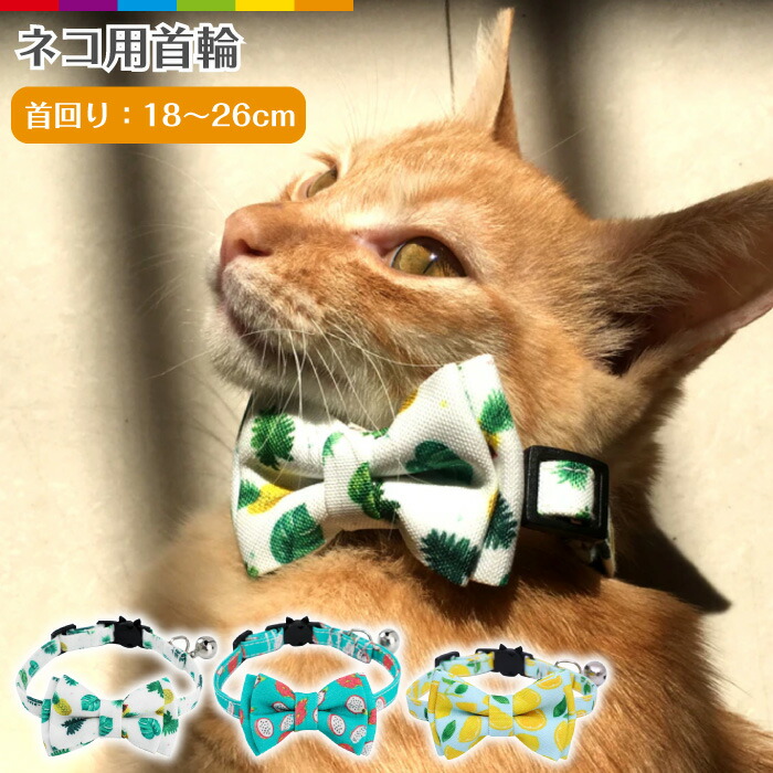 楽天市場 リボン 可愛い 猫用首輪 猫 首輪 リボン 安全バックル リード穴付き 猫型バックル 可愛い かわいい ネコ キャット ネコグッズ 猫グッズ ペット用品 蝶ネクタイ 柄 フルーツ柄 ポップ 夏 リゾート 海 旅行 レモン パイナップル ドラゴンフルーツ おしゃれ