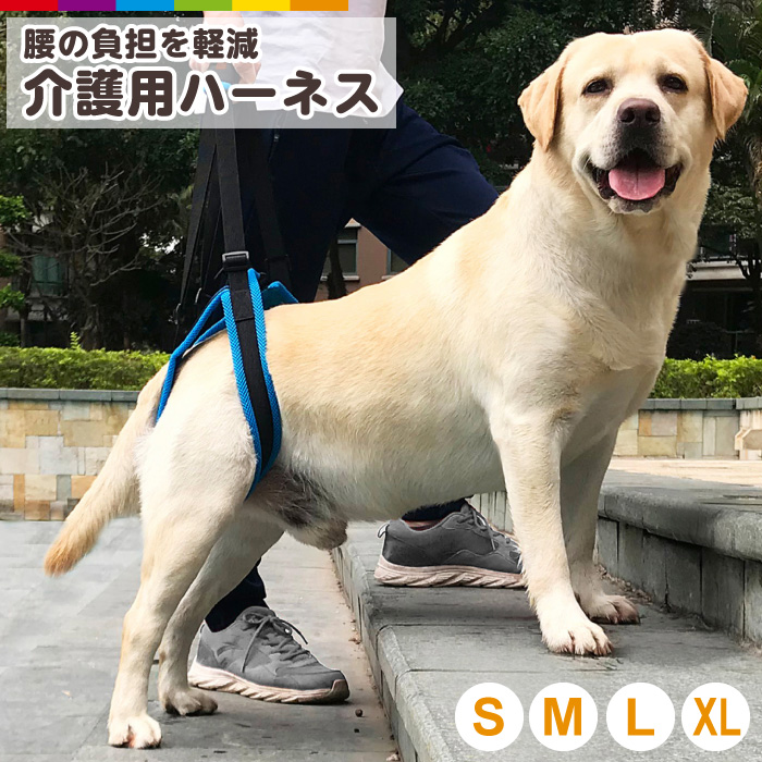 楽天市場 大型犬 中型犬向け 犬 介護 ハーネス 介護用ハーネス 後足専用 老犬 介護 歩行補助 ベルト リハビリ 介護 障害犬 犬用 ペットグッズ スマホケースのcinc Shop