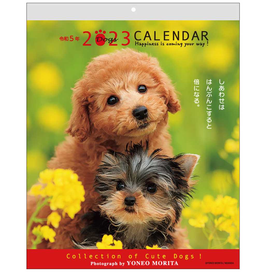 楽天市場】森田米雄 まるごと柴犬 2023 Calendar 卓上カレンダー2023年 スケジュール いぬ アクティブコーポレーション 動物写真 書き込み  インテリア 令和5年暦 予約 メール便可 シネマコレクション : キャラクターのシネマコレクション