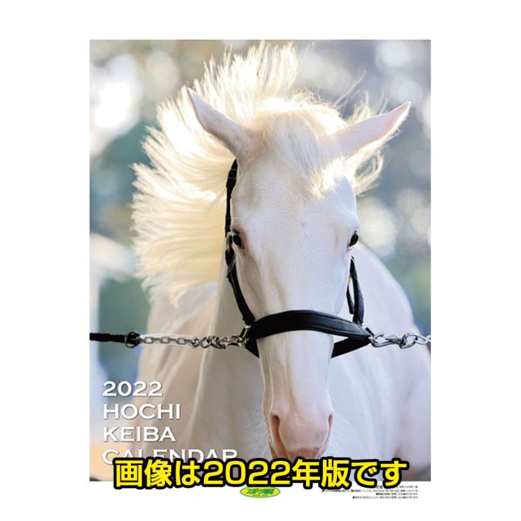 楽天市場】阪神タイガース 2023 Calendar 壁掛けカレンダー2023年 プロ野球 トライエックス スポーツ 令和5年暦 予約  シネマコレクション : キャラクターのシネマコレクション