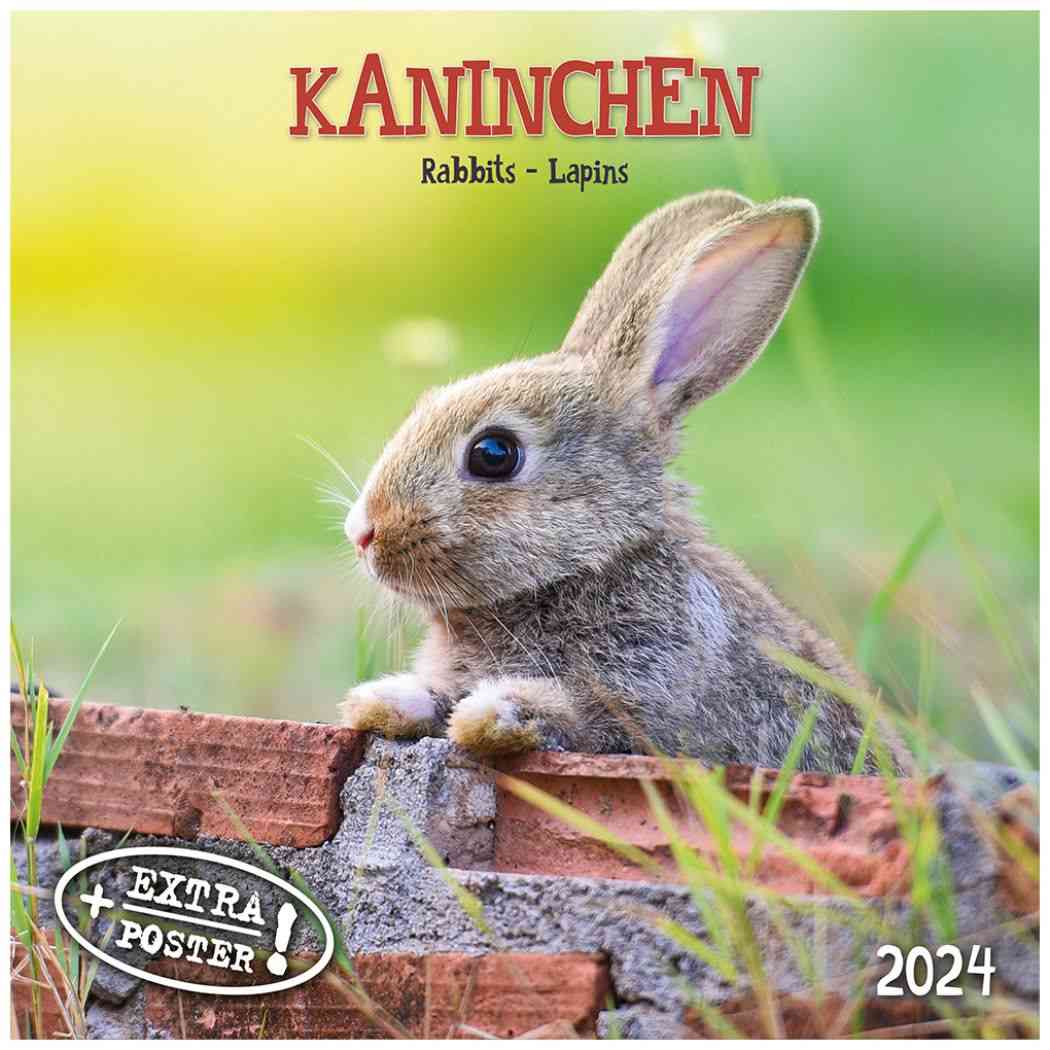 【楽天市場】artwork STUDIOS グッズ 2024 Calendar 壁掛けカレンダー2024年 Rabbits/Kaninchen