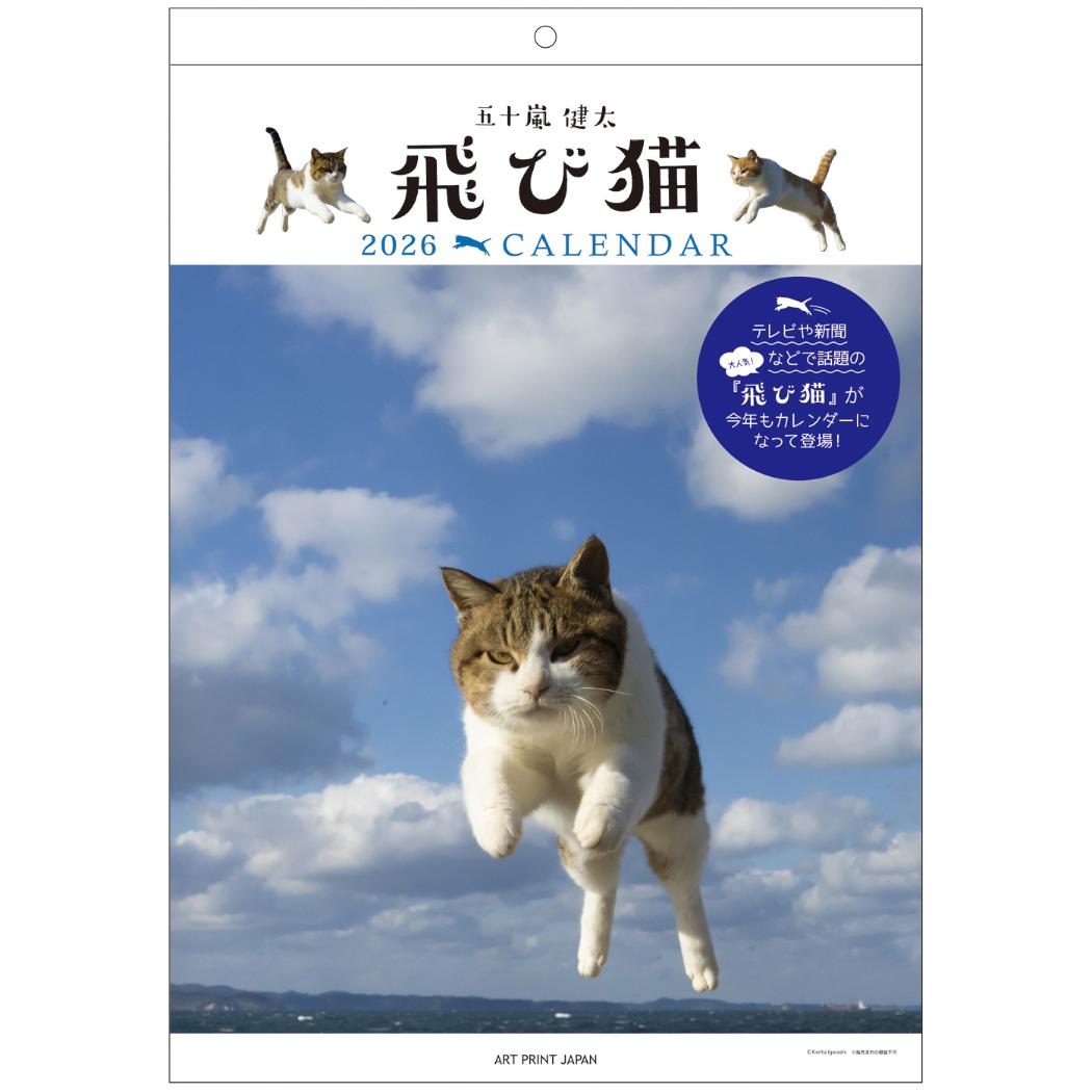 桜猫様確認ページ マグネット桜猫（さくらねこ） 5個入り 2セット 【送料込み