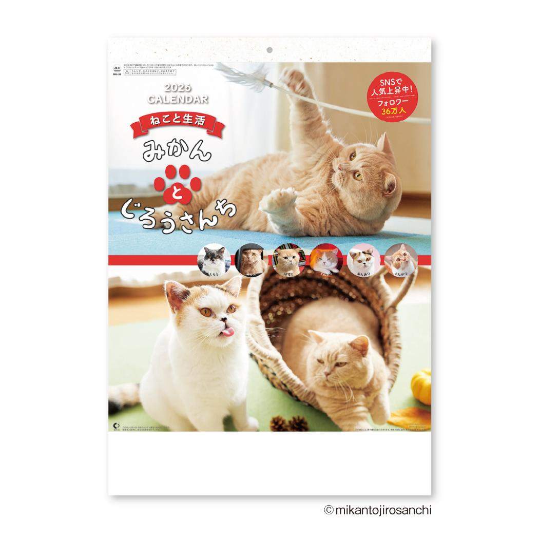 楽天市場】ネコ様の裏側カレンダー2026／芳澤ルミ子 2026年 カレンダー