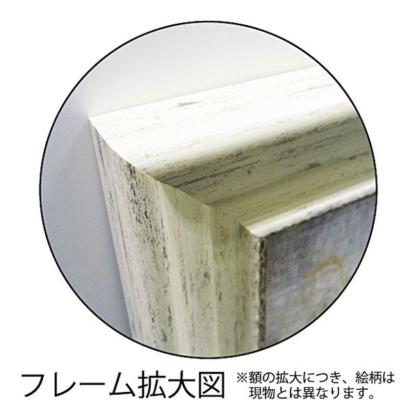 リサ・オーディットフラワーアートArtFramesハアーモニアス5ユーパワー54.5×54.5cm花額付きポスターインテリアグッズ通販【取寄品】【送料無料】シネマコレクション