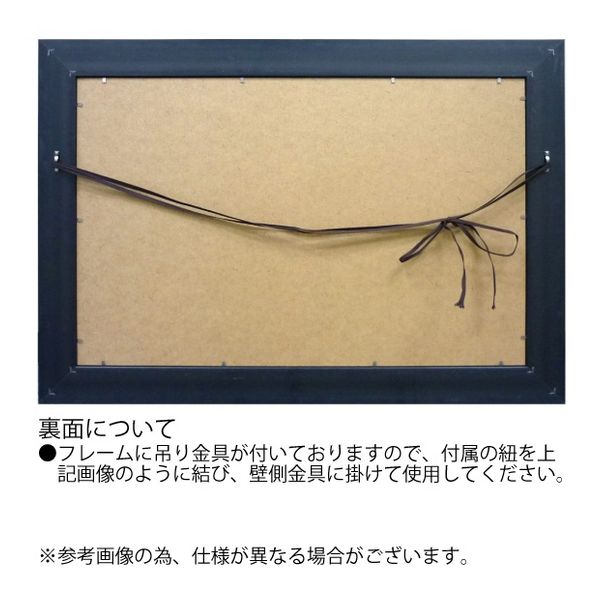 リサ・オーディットフラワーアートArtFramesハアーモニアス5ユーパワー54.5×54.5cm花額付きポスターインテリアグッズ通販【取寄品】【送料無料】シネマコレクション