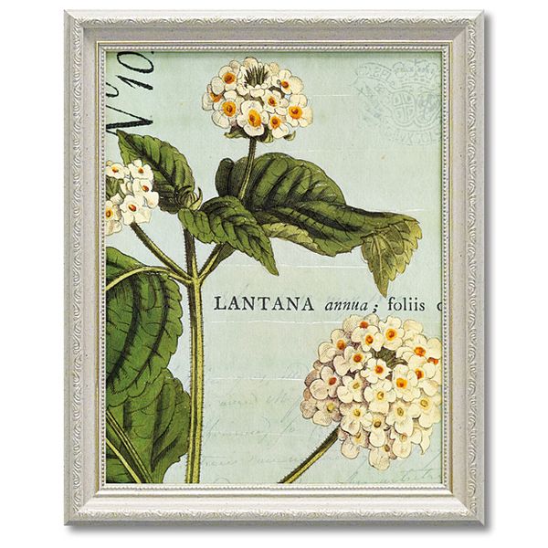 【ポイント10倍 & クーポン！】ワイルド アップル スタジオ フラワーアート Art Frames ボタニーク ブルー1 ギフト 花 額付きポスター インテリア グッズ 通販 取寄品 シネマコレクション