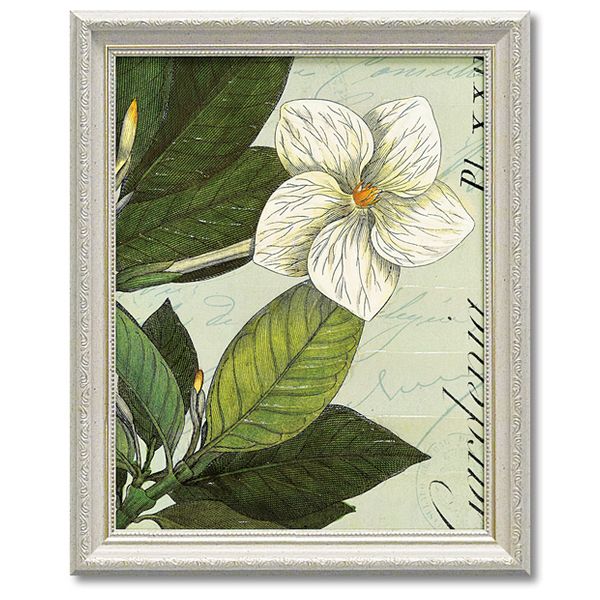 【ポイント10倍 & クーポン！】ワイルド アップル スタジオ フラワーアート Art Frames ボタニーク ブルー3 ギフト 花 額付きポスター インテリア グッズ 通販 取寄品 シネマコレクション