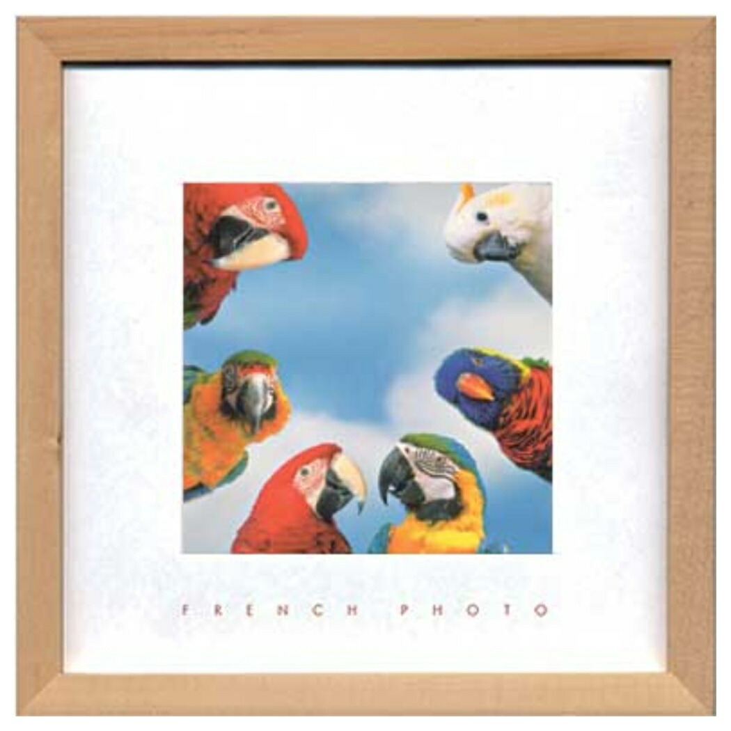楽天市場 フレンチフォトグラフィー 写真 アート French Photography Meeting In Color 美工社 Zfp 額付きインテリア通販 取寄品 シネマコレクション キャラクターのシネマコレクション