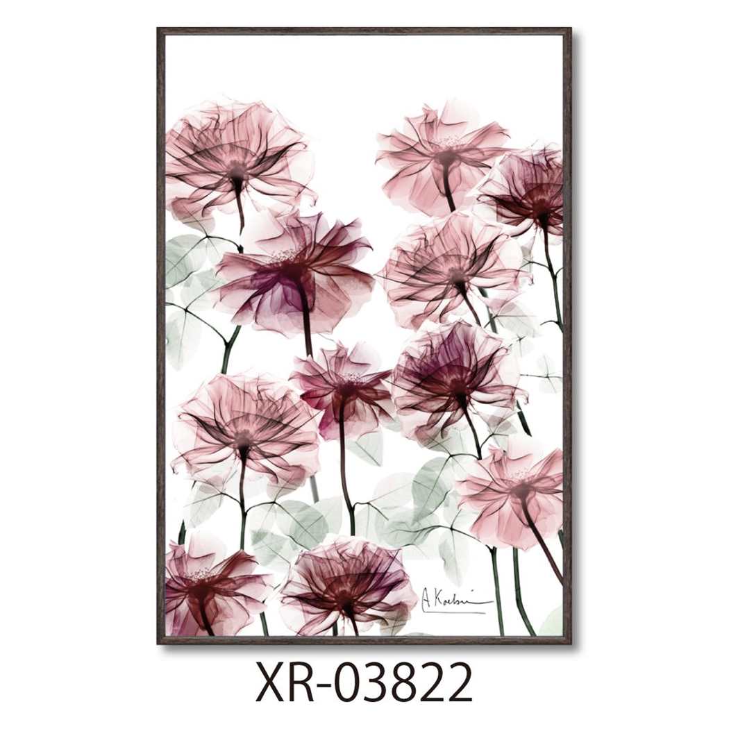 楽天市場】【ポイント10倍 & クーポン！】アルバート クーツィール