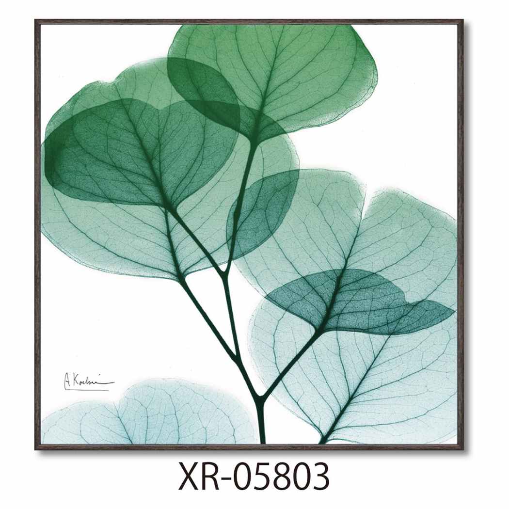 楽天市場】【ポイント10倍 & クーポン！】アルバートクーツィール