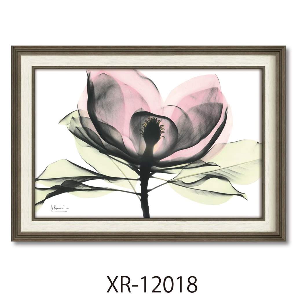 楽天市場】【ポイント10倍 & クーポン！】アルバート クーツィール