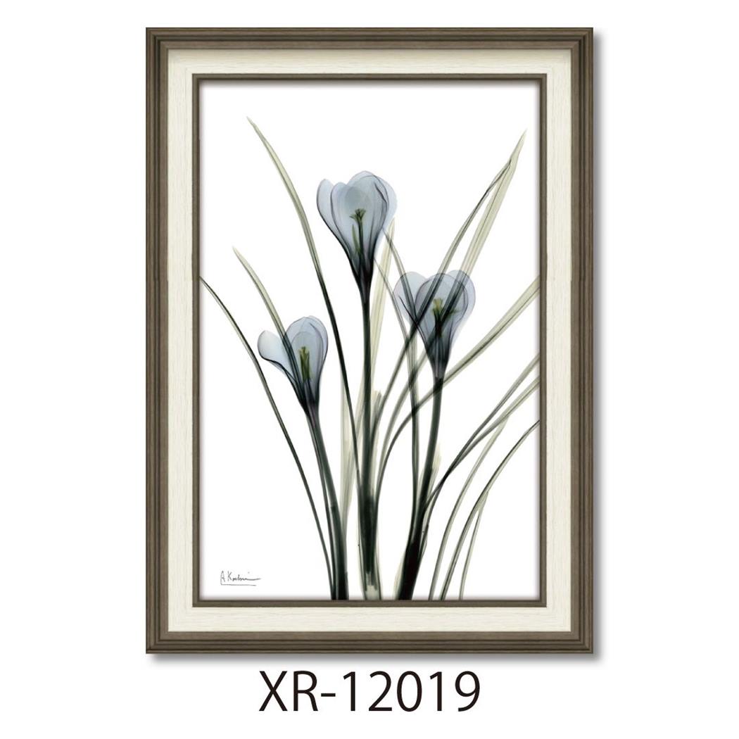 楽天市場】【ポイント10倍 & クーポン！】アルバート クーツィール