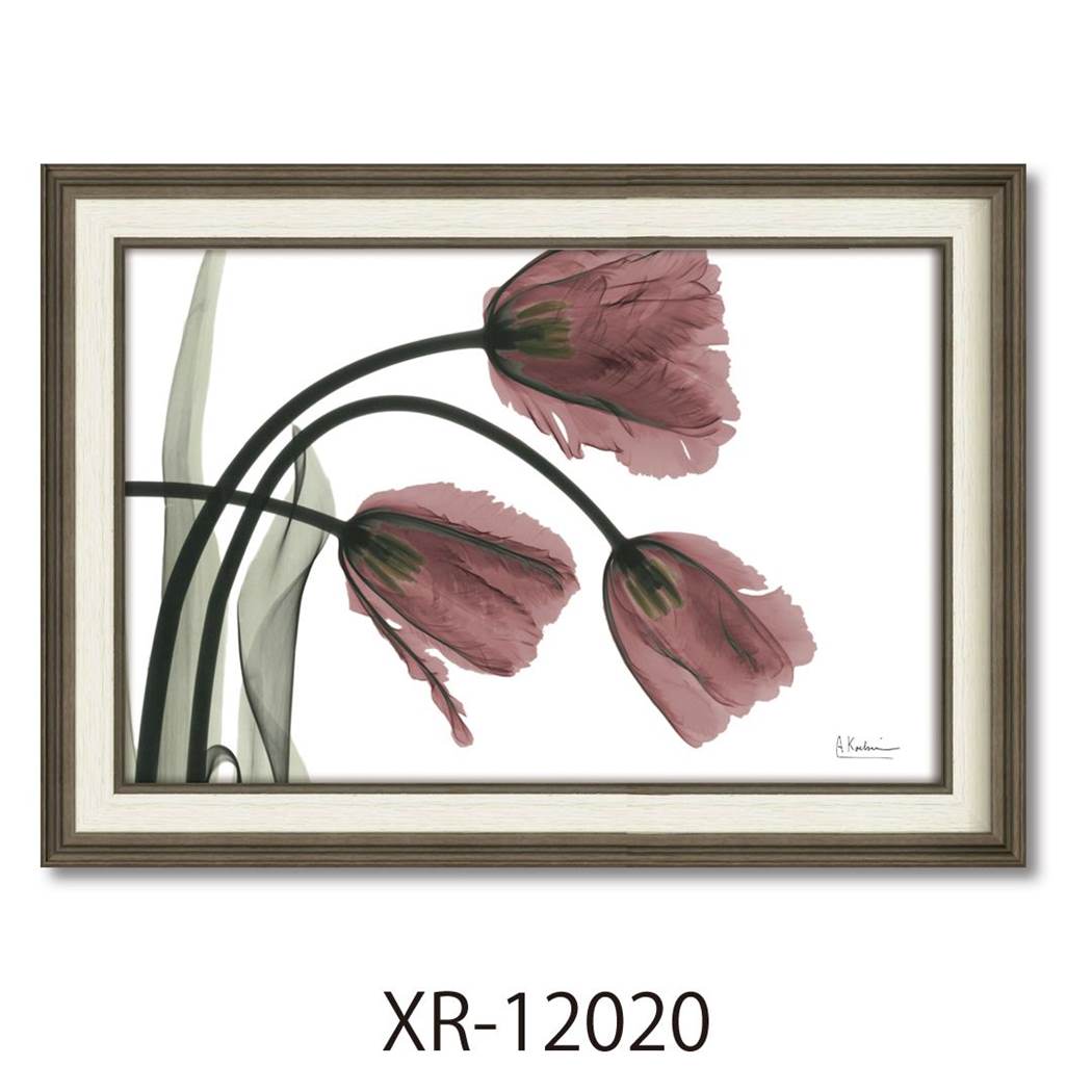 楽天市場】【ポイント10倍 & クーポン！】アルバート クーツィール