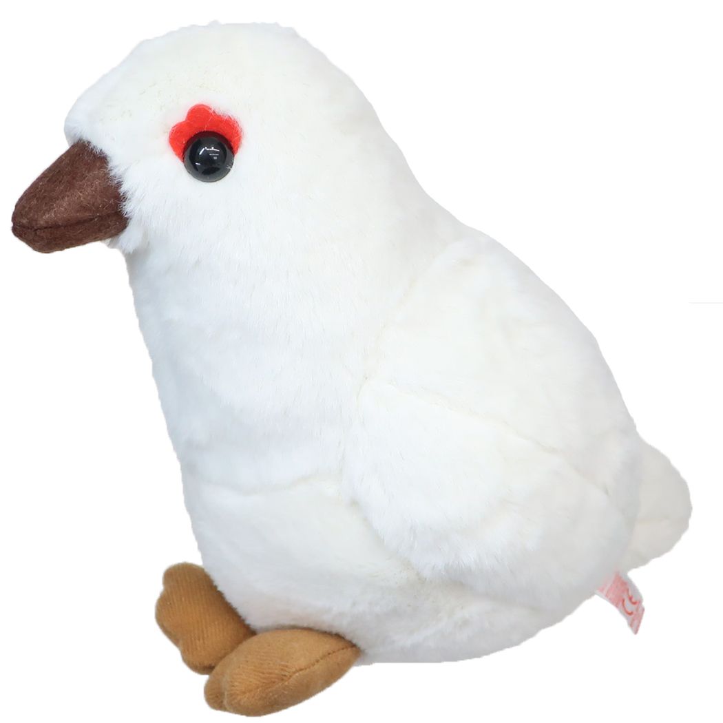 楽天市場】タイインク ぬいぐるみ 雷鳥ぬいぐるみヒナM 白 Ty