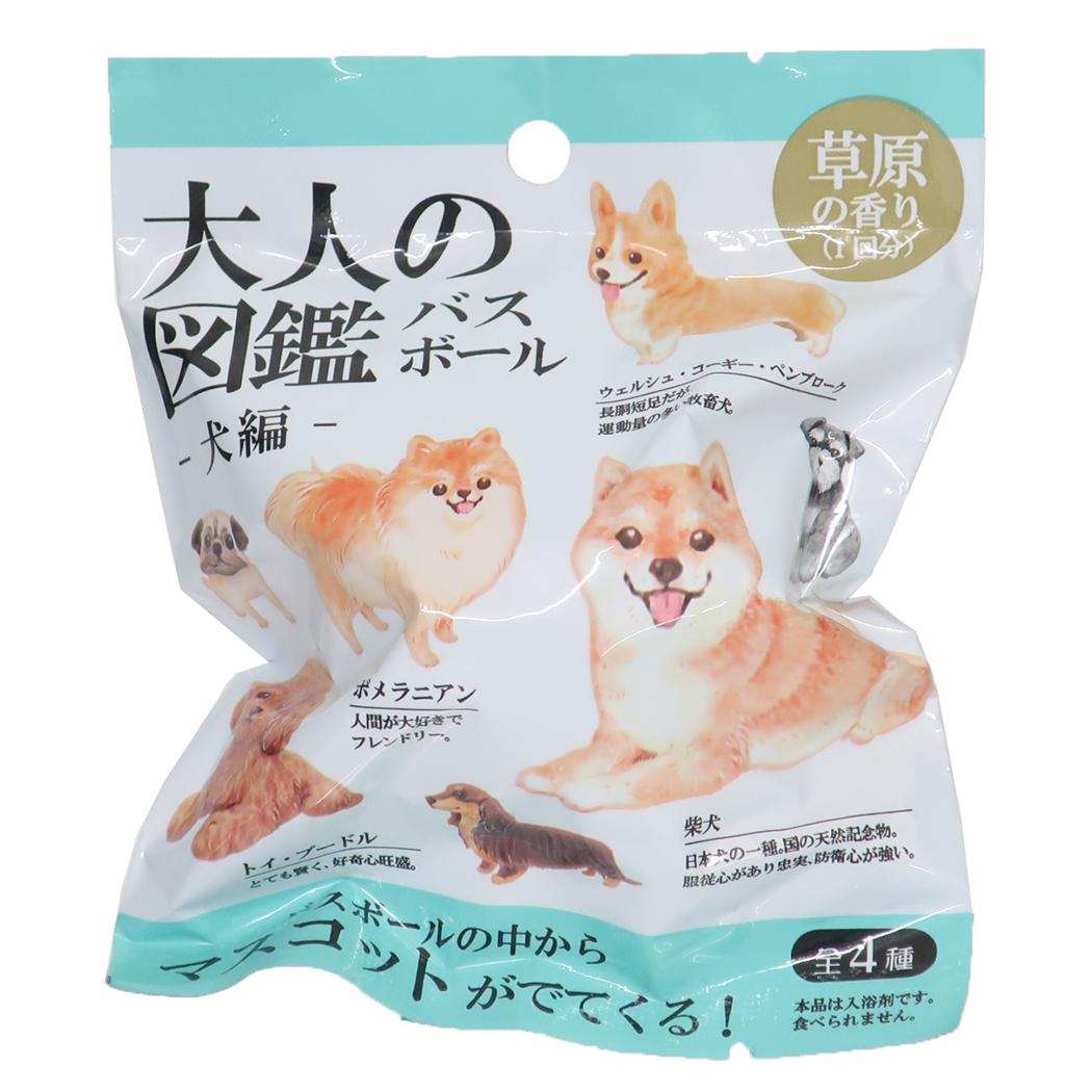 楽天市場】【ポイント10倍 & クーポン！】大人の図鑑 入浴剤 バス