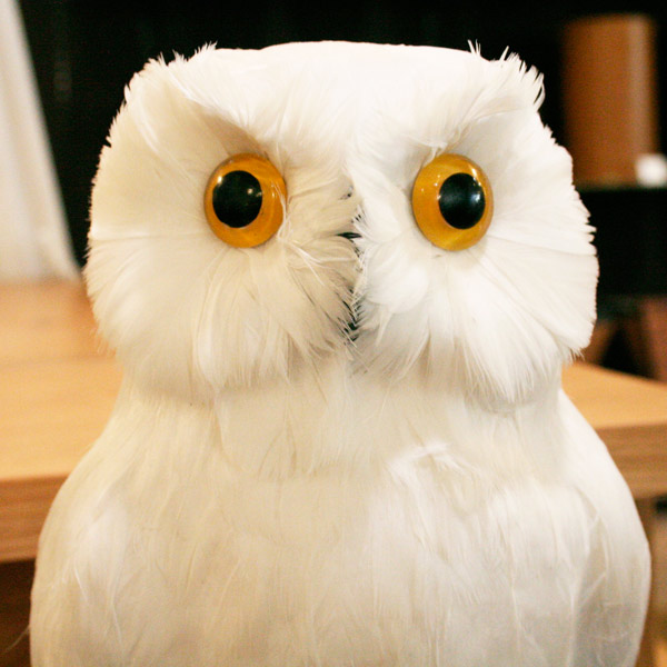 楽天市場 プエブコ Puebco Artificial Birds バードオブジェwhite Owl白フクロウlサイズ Citron Glaces