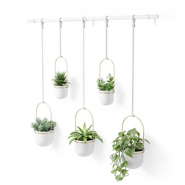 売れ筋ランキングも掲載中 ハンギングプランター アンブラ Umbra トリフローラ 5カップ ラージ Toriflora 5 Hanging Planters Rod ホワイト ブラス Fucoa Cl