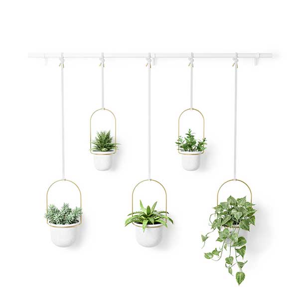 売れ筋ランキングも掲載中 ハンギングプランター アンブラ Umbra トリフローラ 5カップ ラージ Toriflora 5 Hanging Planters Rod ホワイト ブラス Fucoa Cl