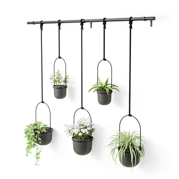 期間限定60 Off ハンギングプランター アンブラ Umbra トリフローラ 5カップ ラージ Toriflora 5 Hanging Planters Rod ブラック Fucoa Cl