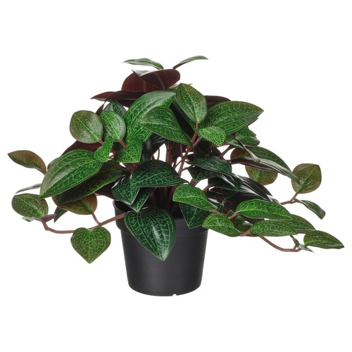 【未開封新品】IKEA FEJKA フェイカ 人工観葉植物 ゴクラクチョウカ FEJKA フェイカ 人工観葉植物, 室内/屋外用 ゴクラクチョウカ