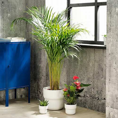 IKEA イケア 鉢カバー 室内 屋外用 ホワイト 白 3号 9cm n60454818