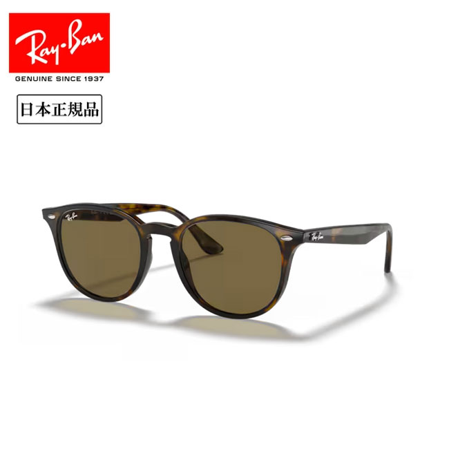 ★Ray-Ban レイバン RB4259F 710/73 53 【 日本正規品 サングラス ローブリッジフィット アウトドア 】