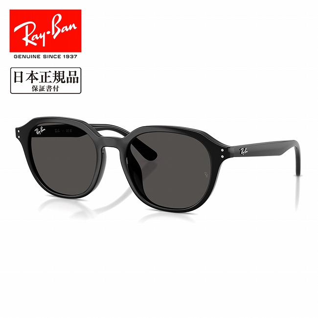 ★Ray-Ban レイバン RB4459D 901/87 54 【 日本正規品 サングラス ローブリッジフィット 運転 ドライブ 紫外線 UV アウトドア 】