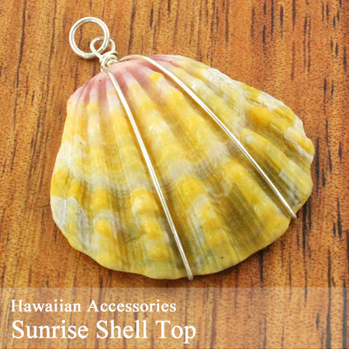 楽天市場】サンライズシェル ハワイの希少なサンライズシェルを使用