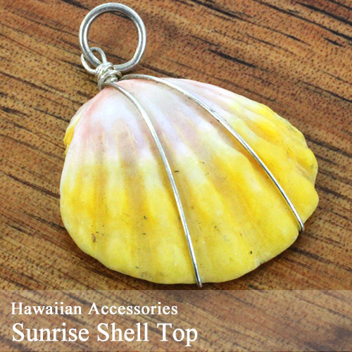 楽天市場】サンライズシェル ハワイの希少なサンライズシェルを使用