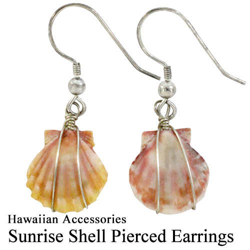 楽天市場】サンライズシェル ハワイの希少なサンライズシェルを使用