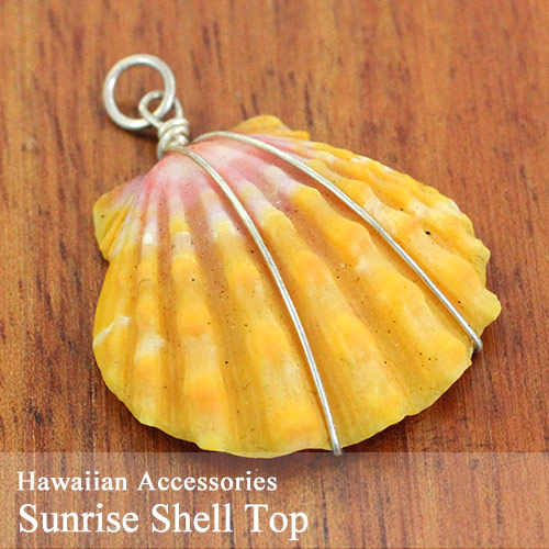 楽天市場】サンライズシェル ハワイの希少なサンライズシェルを使用