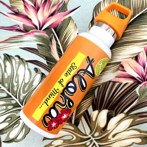 楽天市場】水筒 500ml ナニ ボトル Kahikoステンレス ワンタッチ 直