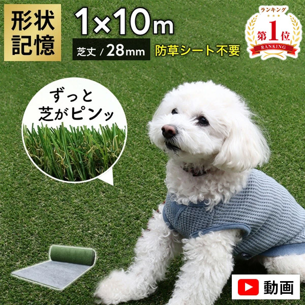 【レビュー特典付き】【正規販売店】メモリーターフ AIR 人工芝 1m&times;10m ロール 芝生 リアル 人工芝生 水はけ 芝丈28mm 屋外 庭 緑 ベランダ 室内 ドックラン 犬 サッカー 長め 業務用 diy 抜けにくい 防草｜クラシエル