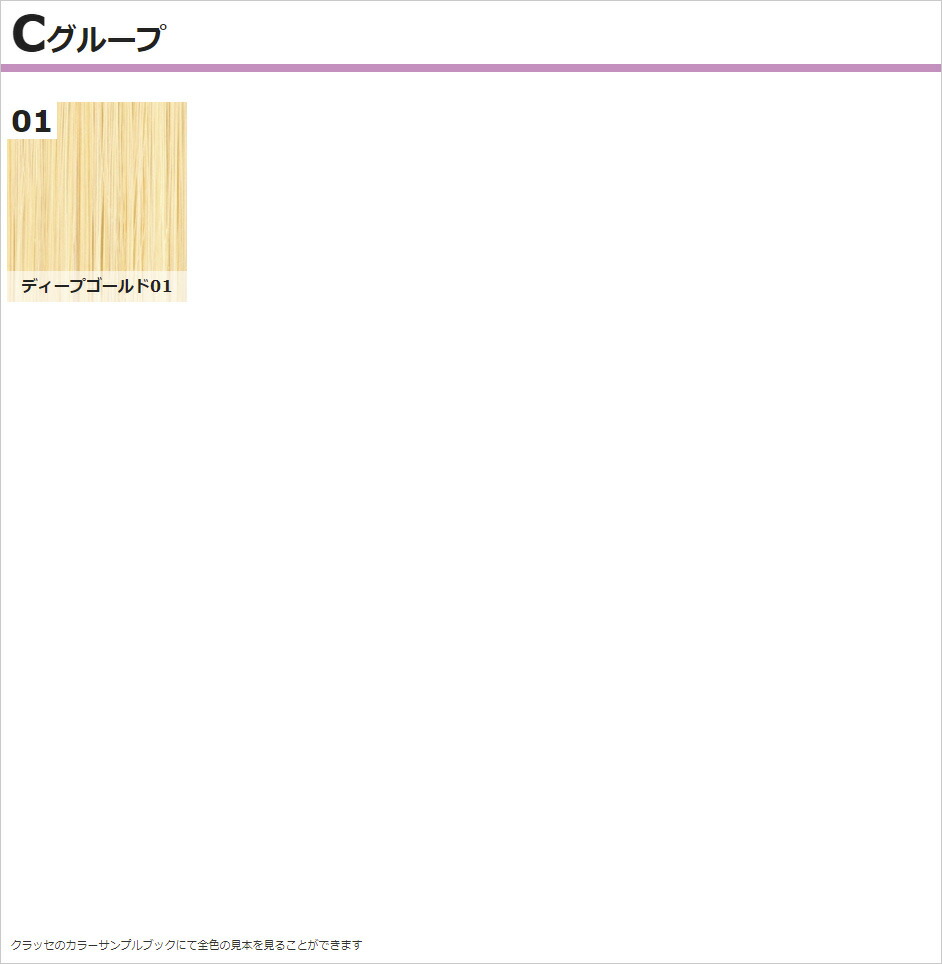 送料無料 クラッセ プロ Classe Pro レディース メンズ 女装 男装 黒 金 茶 コスプレ ウィッグ フロントレース マジックオールバック 耐熱 全41色 Schwimmbad Delphine De