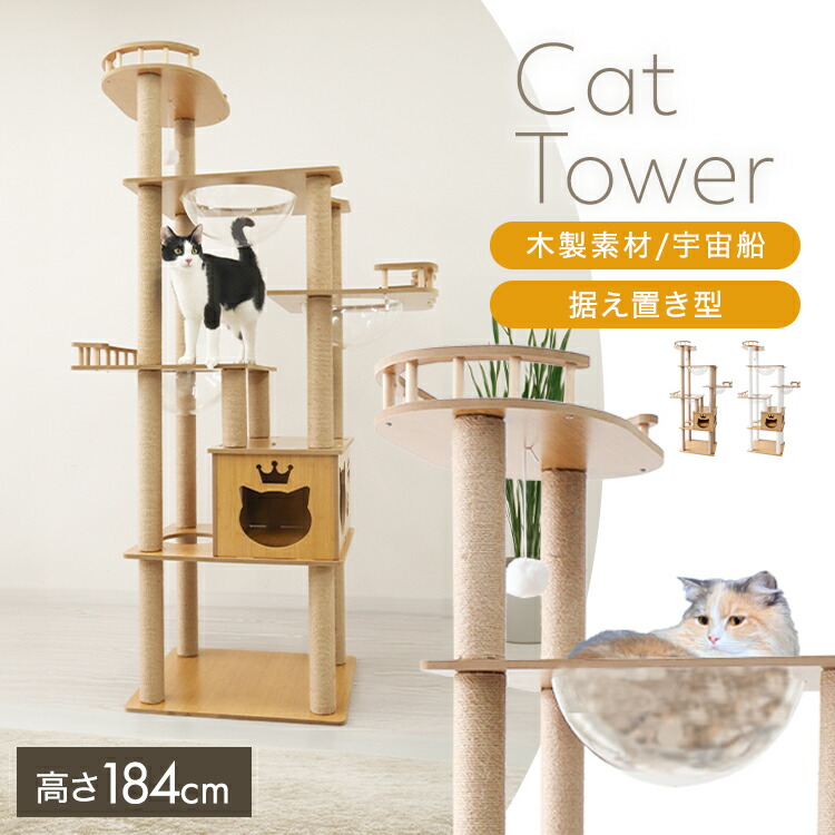 百貨店大売り出し始まりました！～6/11(木)23:59
