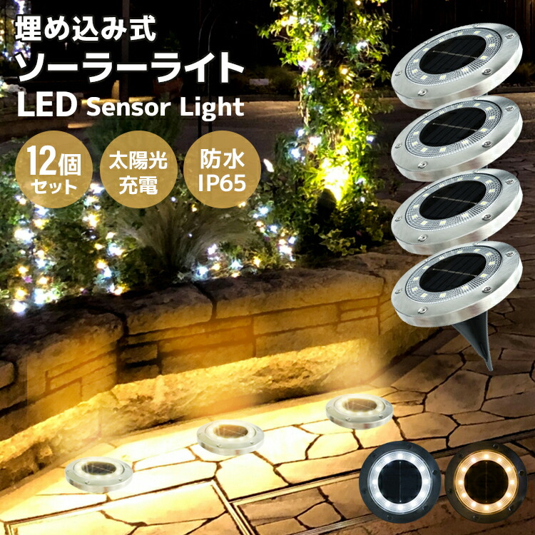 緑の太陽の頂点 2枚