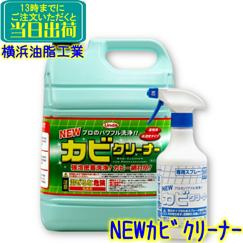 楽天市場】鈴木油脂工業 かびとりいっぱつ185g S-2812【業務用 カビ 黒かび 除去 落とし 掃除 清掃 浴室 タイル 風呂 目地 窓 洗剤  大掃除 大そうじ】 : 掃除用品クリーンクリン楽天市場店