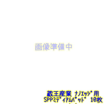 蔵王産業 ナノ境界線用SPPミディアムパッド 10枚書き割り  【ナノ境界線本体と等しく買いもとめるで1000円引】 1095410034130