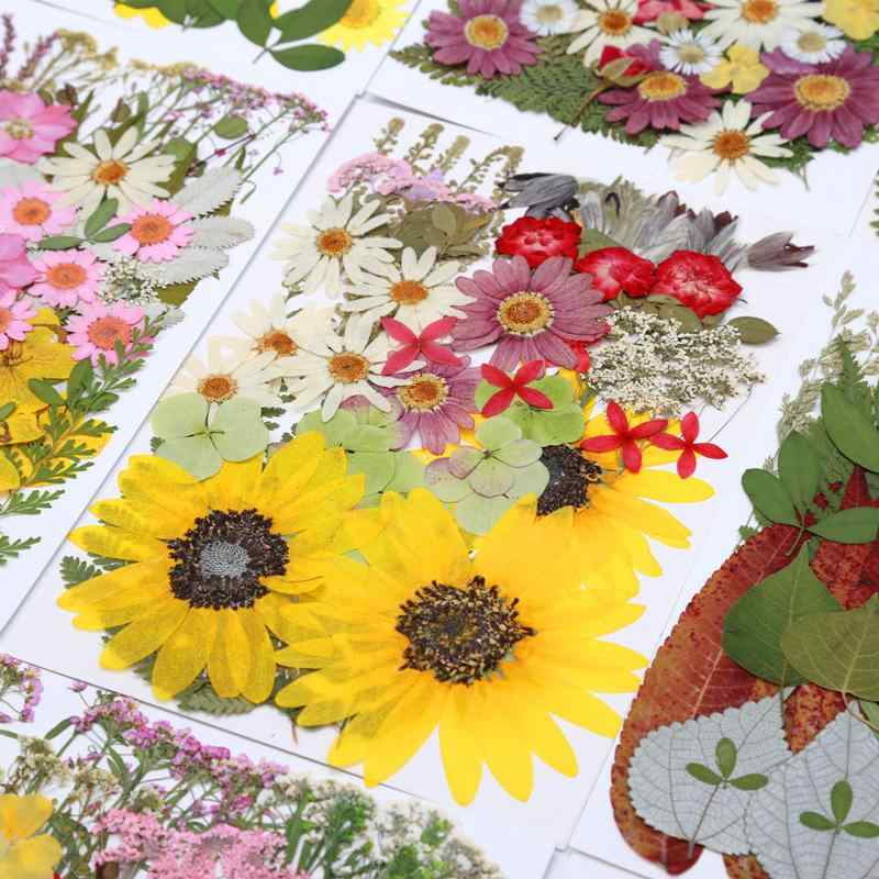 ドライフラワー 押し花 素材 大容量セット 植物 デコパーツ DIY 手作り 材料 ハンドメイド アロマワックス サシェ キャンドル 封入パーツ レジン ネイルパーツ 草花2