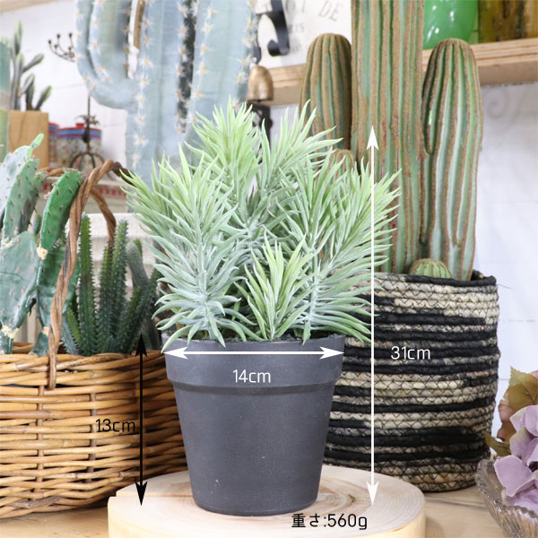 楽天市場 セネシオポット ファイクプランツ サボテン 観葉植物 造花 人工観葉植物 フェイクグリーン 開店祝い 引越し祝い ギフト かわいい おしゃれ ツリーハウス ガーデン雑貨 Diy