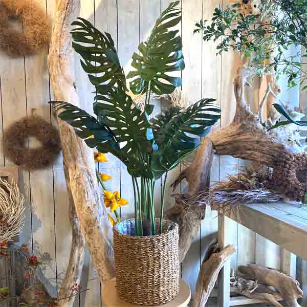 楽天市場 フェイクグリーン モンステラ フェイクグリーン モンステラ 観葉植物 植物 植木鉢 水やりなし 緑 自然 飾り 装飾 ディスプレイ オブジェ 造花 お洒落 おしゃれ 癒し リラックス インテリア カフェ お店 店舗 自宅 新生活 ギフト ツリーハウス ガーデン雑貨 Diy