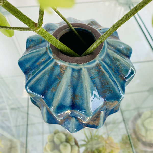 インテリアグリーン 花瓶 フラワースタンド セラミック製 花瓶 モダン 一輪挿し 陶器 ベース ブルー M54 1570bl Educaps Com Br