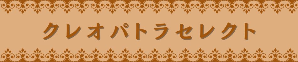 ���쥪�ѥȥ饻�쥯�ȡ�����������ꤤ���ޤ���